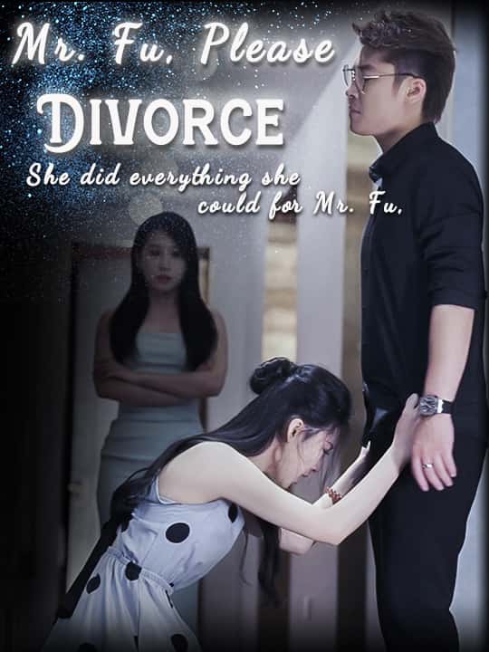 Mr. Fu, Please Divorce